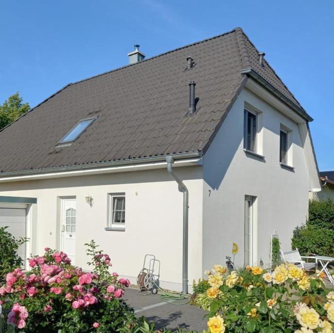 Haus-Am-See-Pratzschwitz Pirna Zewnętrze zdjęcie