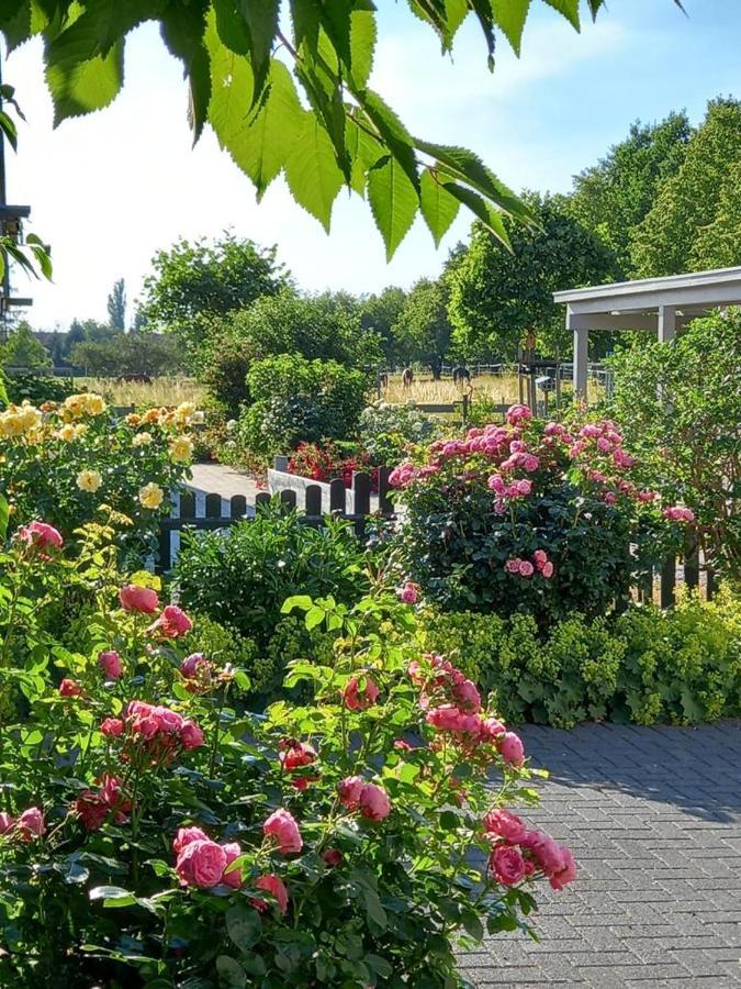 Haus-Am-See-Pratzschwitz Pirna Zewnętrze zdjęcie