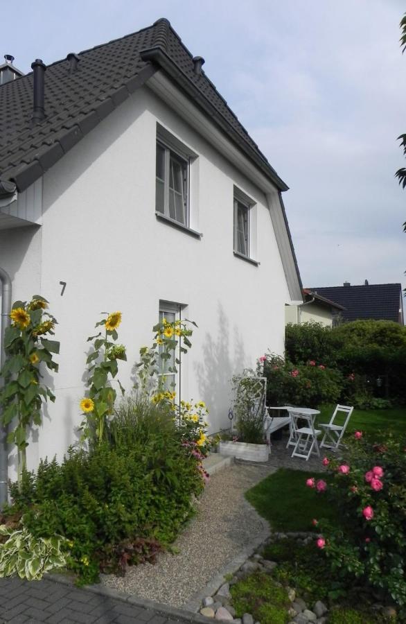 Haus-Am-See-Pratzschwitz Pirna Zewnętrze zdjęcie